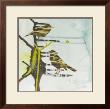 Chit, Chat, Chirp by Gina Miller Limited Edition Print
