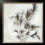 Fern Silhouette by Kate Knight Limited Edition Pricing Art Print