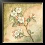 Burlap Cherry Blossom by Tina Chaden Limited Edition Print