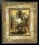 West Indies Palms Ii by Augustine (Joseph Grassia) Limited Edition Print