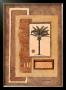 Caracas Palm Ii by Merri Pattinian Limited Edition Print