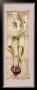 Bulbo Flor Blanca by Calles Limited Edition Pricing Art Print