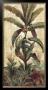 Exotic Palms Ii by Eduardo Moreau Limited Edition Print