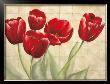 Red Tulips On Ivory by Lauren Mckee Limited Edition Print