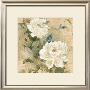 White Flowers I by Jil Wilcox Limited Edition Pricing Art Print