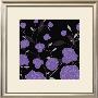 Nocturne Rose by Kate Knight Limited Edition Print