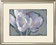 Early Spring by Gerbrandt Limited Edition Print