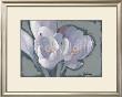 Early Spring by Gerbrandt Limited Edition Pricing Art Print