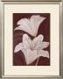 Chocolate Lilies by Kaye Lake Limited Edition Pricing Art Print