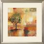 Harvest Light I by Selina Werbelow Limited Edition Print