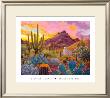 August Evening by Stephen Morath Limited Edition Print