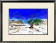 Trees Alive I by Ynon Mabet Limited Edition Print