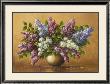 Syringa by Helmut Glassl Limited Edition Print