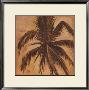 Sephia Palm Iii by Patricia Quintero-Pinto Limited Edition Pricing Art Print