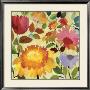 Orange Dahlia by Kim Parker Limited Edition Pricing Art Print