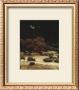 Above The Salton Sea by Marc Bohne Limited Edition Print