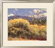 Chamisa In Bloom by E. Martin Hennings Limited Edition Print