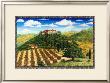 Wine Vinyard Estates by Caroline Haliday Limited Edition Print