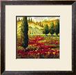 Tuscany In Bloom Ii by J.M. Steele Limited Edition Print