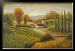 Vineyard In The Sun Ii by Michael Marcon Limited Edition Pricing Art Print