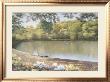 Golden Pond by Diane Romanello Limited Edition Print