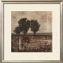 Earthen Textile Ii by Norman Wyatt Jr. Limited Edition Print