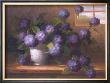 Hydrangea Blossoms Ii by Welby Limited Edition Print