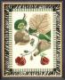 Zebra Bordered Botanical Iii by Poiret Limited Edition Print