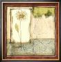 Pressed Flower Collage I by Jennifer Goldberger Limited Edition Print