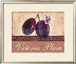 Victoria Plum by Steff Green Limited Edition Print