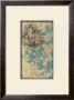 Serene Blossom Ii by Jennifer Goldberger Limited Edition Pricing Art Print