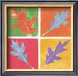 Leaf Impressions I by Eileen Crowell Limited Edition Print