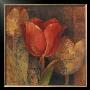Tulip Reflection by Albena Hristova Limited Edition Pricing Art Print