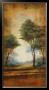 Woodland Meadow Ii by Joel Holsinger Limited Edition Print