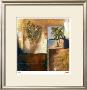Palm View Ii by Judeen Limited Edition Print