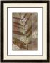 Moroccan Palm Ii by Jennifer Goldberger Limited Edition Print