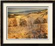 Autumn Vineyard by Silvia Rutledge Limited Edition Print