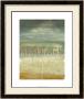 Marine Abstract Ii by Jennifer Goldberger Limited Edition Print