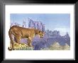 Puma by Alan Baker Limited Edition Pricing Art Print