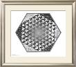 Verbum by M. C. Escher Limited Edition Print