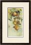 Golden Fruit Study I by Allyson Krowitz Limited Edition Print