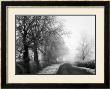 Misty Tree, Lined Road by Stephen Rutherford-Bate Limited Edition Pricing Art Print