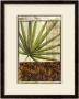 Safari Palms Iii by Jennifer Goldberger Limited Edition Pricing Art Print