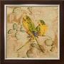 Songbirds I by John Butler Limited Edition Print