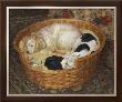 Sleeping Dogs by Diana Calvert Limited Edition Pricing Art Print
