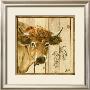 Vache Beige by Clauva Limited Edition Print