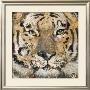 Tiger by Volynets Limited Edition Print