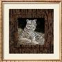 White Tiger by Ruane Manning Limited Edition Pricing Art Print
