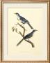 Vintage Bird Pair Ii by Levaillon Limited Edition Pricing Art Print