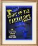 Night Of The Pantelope by Bryan Ballinger Limited Edition Print